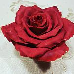     
: IMG_20180527_234501_785.jpg
: 21
:	112.7 
ID:	12732613