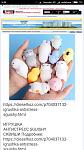     
: Screenshot_2018-06-05-09-49-24-469_com.android.chrome.jpg
: 21
:	50.4 
ID:	12734832