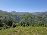     
: 20180507_124428.jpg
: 25
:	293.2 
ID:	12736413