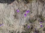     
: 20180509_112426.jpg
: 21
:	306.1 
ID:	12736422