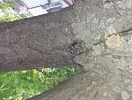     
: 20180606_141220.jpg
: 13
:	215.9 
ID:	12737121