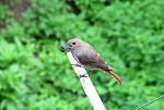     
: IMG_7086.jpg
: 10
:	109.2 
ID:	12737614