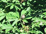     
: IMG_7058.jpg
: 9
:	197.6 
ID:	12737617