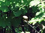     
: IMG_7064.jpg
: 8
:	170.2 
ID:	12737621