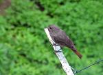     
: IMG_7098.jpg
: 9
:	127.1 
ID:	12737626