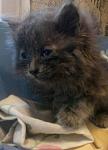     
: IMG-452b9115bd663eb7ca0ca1e4aac4300d-V.jpg
: 22
:	62.0 
ID:	12740280