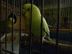     
: DSCN7013.jpg
: 35
:	87.6 
ID:	12742014