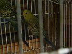     
: DSCN7019.jpg
: 37
:	113.2 
ID:	12742015