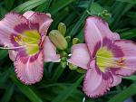     
: P1470142.jpg
: 14
:	110.4 
ID:	12745628