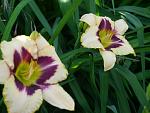     
: P1460956.jpg
: 13
:	97.3 
ID:	12745645