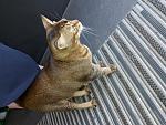     
: 20180612_135500.jpg
: 11
:	215.2 
ID:	12745867