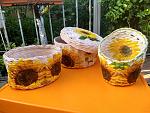     
: IMG_20180612_190811554_100_150.jpg
: 12
:	177.5 
ID:	12746960