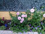     
: P80614-082232.jpg
: 11
:	220.9 
ID:	12748716