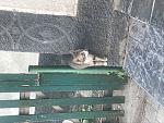     
: AB01CD3E-5B07-47D3-BB51-433379FDE5A0.jpg
: 56
:	145.9 
ID:	12751276