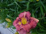     
: P1350162.jpg
: 10
:	95.4 
ID:	12751320