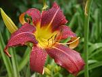     
: P1480414.jpg
: 16
:	118.4 
ID:	12751328