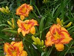     
: P1480595.jpg
: 16
:	148.4 
ID:	12751450