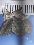     
: IMG-9fee7c29638029715f8d31bfae63217b-V.jpg
: 30
:	97.6 
ID:	12752144