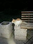     
: BDDA20E0-9A55-4FF3-BD94-28B8280D8352.jpg
: 36
:	48.6 
ID:	12752174
