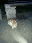     
: 5F475F15-EF15-41E3-A924-F43FE62073B0.jpg
: 33
:	50.0 
ID:	12752175