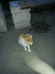     
: 9DD1DF37-8037-442B-8C89-24387D36D630.jpg
: 33
:	44.7 
ID:	12752176
