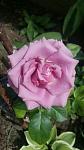     
: gz6xpHNwpI8.jpg
: 11
:	56.2 
ID:	12752963