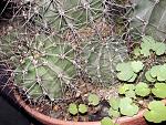     
: 20180617_194855.jpg
: 17
:	287.4 
ID:	12753271