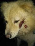     
: IMG-20180619-WA0001.jpg
: 60
:	49.6 
ID:	12756133