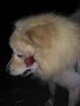     
: IMG-20180619-WA0002.jpg
: 63
:	36.8 
ID:	12756134