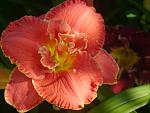     
: P1490550.jpg
: 13
:	99.2 
ID:	12756152