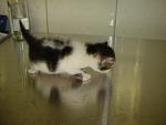     
: DSC00087.jpg
: 60
:	69.3 
ID:	1275718