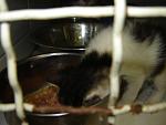     
: DSC00109.jpg
: 46
:	76.1 
ID:	1275723
