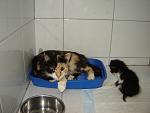     
: DSC00114.jpg
: 85
:	80.9 
ID:	1275733