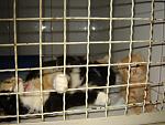     
: DSC00098.jpg
: 70
:	127.0 
ID:	1275737