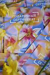     
: IMG_7830.jpg
: 72
:	75.0 
ID:	12758642