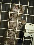     
: DSC00096.jpg
: 79
:	84.4 
ID:	1275885