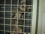     
: DSC00097.jpg
: 74
:	110.2 
ID:	1275886