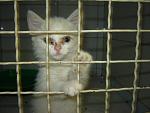     
: DSC00107.jpg
: 83
:	101.2 
ID:	1275890