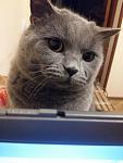     
: IMG_3831.jpg
: 15
:	77.7 
ID:	12758988