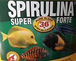     
: spirulina1.jpg
: 49
:	142.4 
ID:	12759660