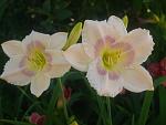     
: P1490190.jpg
: 12
:	70.1 
ID:	12760111