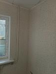     
: P80605-182439.jpg
: 9
:	55.3 
ID:	12760180