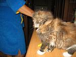     
: Picture4101 029.jpg
: 7
:	137.7 
ID:	12760485