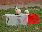     
: DSC00041.jpg
: 67
:	152.7 
ID:	1276085