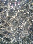     
: IMG_20180624_093634.jpg
: 95
:	195.3 
ID:	12760976