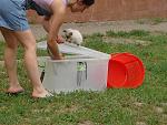     
: DSC00044.jpg
: 77
:	172.1 
ID:	1276101