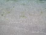    
: 15298367380531541606670.jpg
: 35
:	177.7 
ID:	12761165