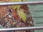    
: 20180624_153037.jpg
: 12
:	102.5 
ID:	12761671