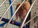     
: 20180624_152851.jpg
: 15
:	93.9 
ID:	12761673