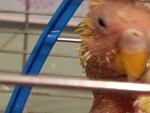     
: 20180624_152830.jpg
: 8
:	78.6 
ID:	12761675